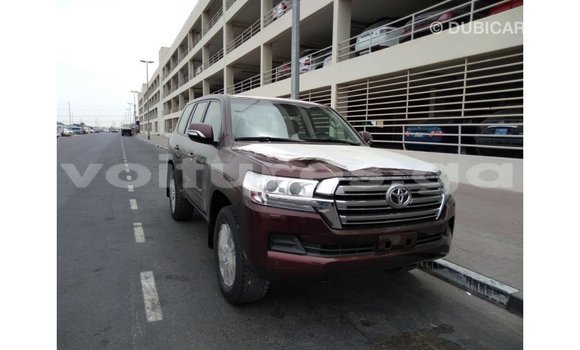 Acheter Import Voiture Toyota Land Cruiser Marron à Import - Dubai, Estuaire Acheter Import Voiture Toyota Land Cruiser Marron à Import - Dubai, Estuaire