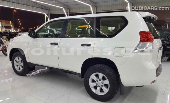 Acheter Import Voiture Toyota Prado Blanc à Import - Dubai, Estuaire Acheter Import Voiture Toyota Prado Blanc à Import - Dubai, Estuaire