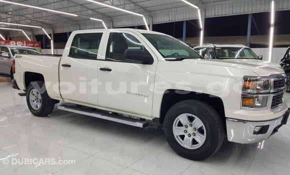 Acheter Import Voiture Chevrolet Silverado Blanc à Import - Dubai, Estuaire Acheter Import Voiture Chevrolet Silverado Blanc à Import - Dubai, Estuaire