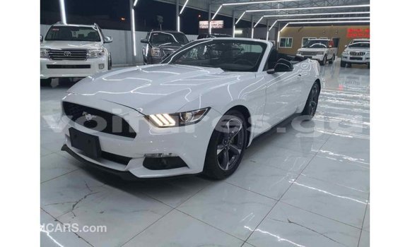 Acheter Import Voiture Ford Mustang Blanc à Import - Dubai, Estuaire Acheter Import Voiture Ford Mustang Blanc à Import - Dubai, Estuaire