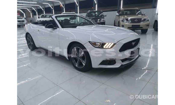 Acheter Import Voiture Ford Mustang Blanc à Import - Dubai, Estuaire Acheter Import Voiture Ford Mustang Blanc à Import - Dubai, Estuaire