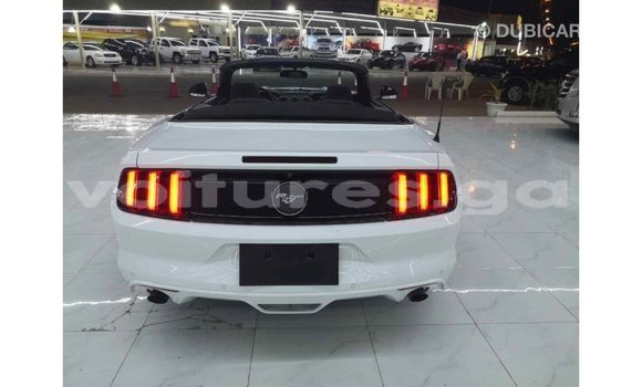 Acheter Import Voiture Ford Mustang Blanc à Import - Dubai, Estuaire Acheter Import Voiture Ford Mustang Blanc à Import - Dubai, Estuaire