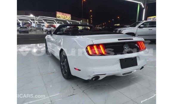 Acheter Import Voiture Ford Mustang Blanc à Import - Dubai, Estuaire Acheter Import Voiture Ford Mustang Blanc à Import - Dubai, Estuaire
