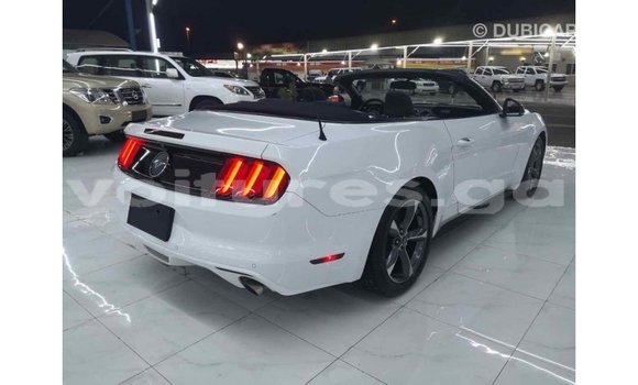 Acheter Import Voiture Ford Mustang Blanc à Import - Dubai, Estuaire Acheter Import Voiture Ford Mustang Blanc à Import - Dubai, Estuaire