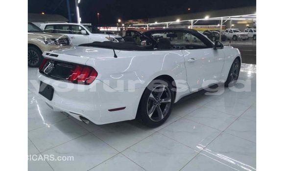 Acheter Import Voiture Ford Mustang Blanc à Import - Dubai, Estuaire