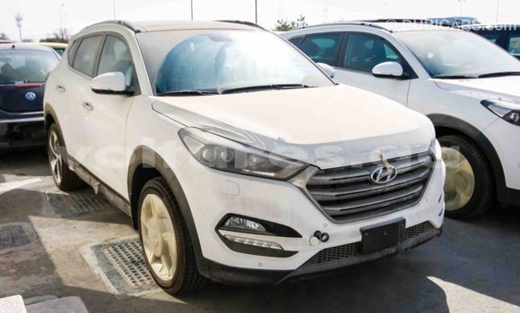 Acheter Import Voiture Hyundai Tucson Blanc à Import - Dubai, Estuaire Acheter Import Voiture Hyundai Tucson Blanc à Import - Dubai, Estuaire