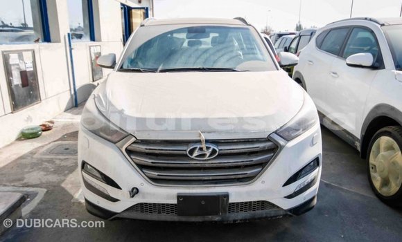 Acheter Import Voiture Hyundai Tucson Blanc à Import - Dubai, Estuaire Acheter Import Voiture Hyundai Tucson Blanc à Import - Dubai, Estuaire