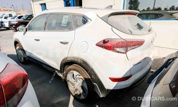 Acheter Import Voiture Hyundai Tucson Blanc à Import - Dubai, Estuaire Acheter Import Voiture Hyundai Tucson Blanc à Import - Dubai, Estuaire