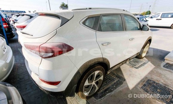 Acheter Import Voiture Hyundai Tucson Blanc à Import - Dubai, Estuaire Acheter Import Voiture Hyundai Tucson Blanc à Import - Dubai, Estuaire
