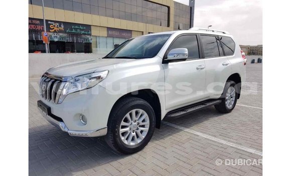Sayi Imported Toyota Prado White Mota in Import - Dubai a estuary Sayi Imported Toyota Prado White Mota in Import - Dubai a estuary