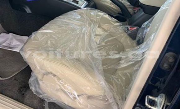 Acheter Occasion Voiture Mitsubishi Pajero Bleu à Libreville, Estuaire Acheter Occasion Voiture Mitsubishi Pajero Bleu à Libreville, Estuaire